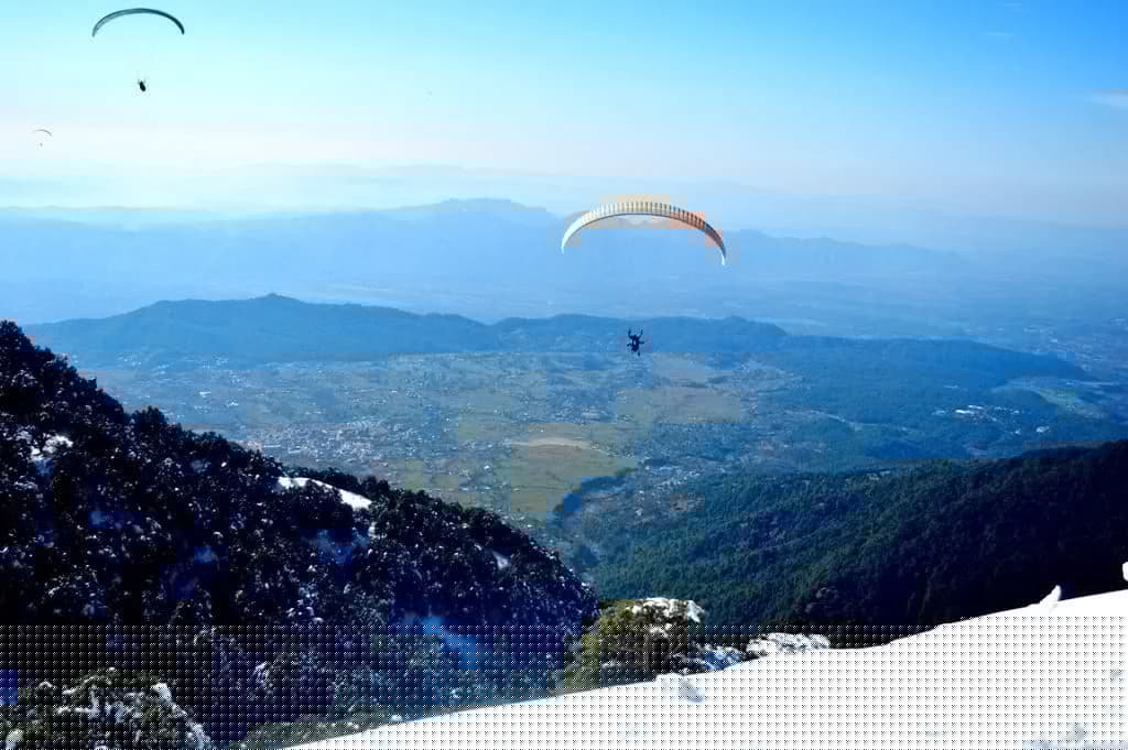 Social Media Volunteer in Bir NGO