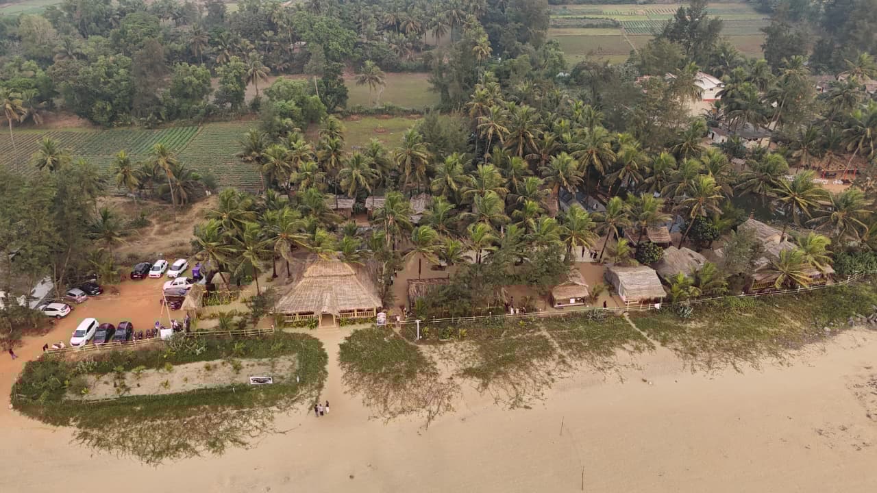 Guest Engagement & Events Coordinator (Volunteer)