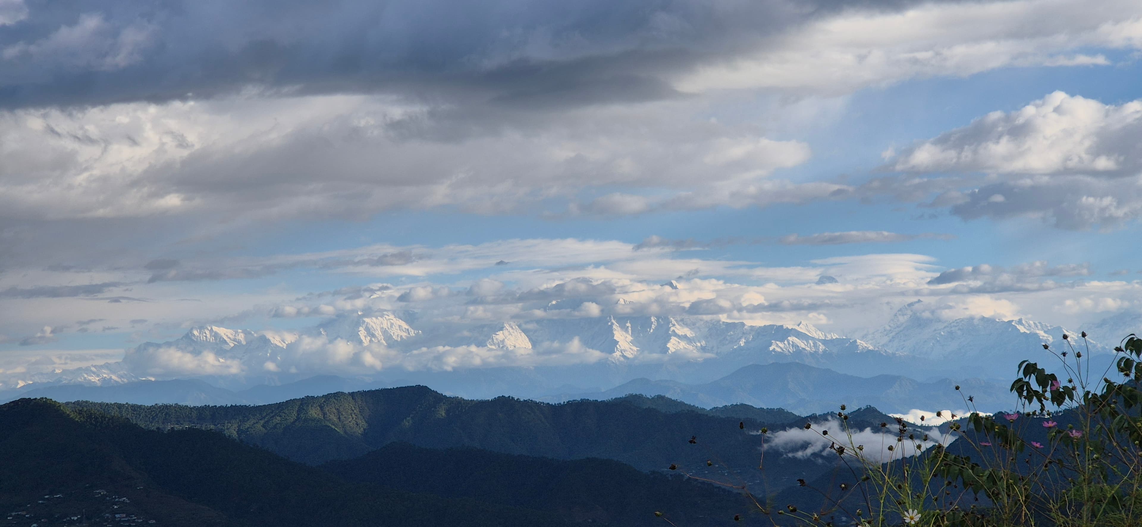 Content Creator in Kasar devi