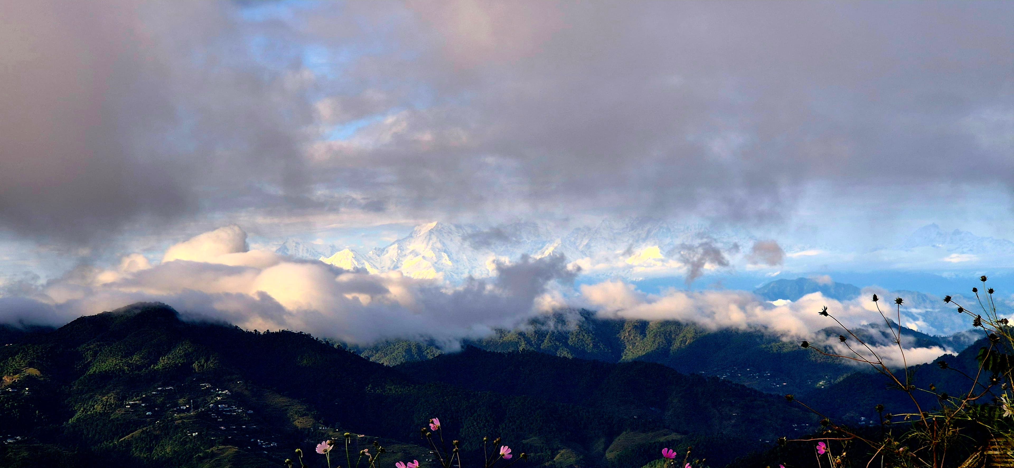 Social Media Manager in kasar Devi